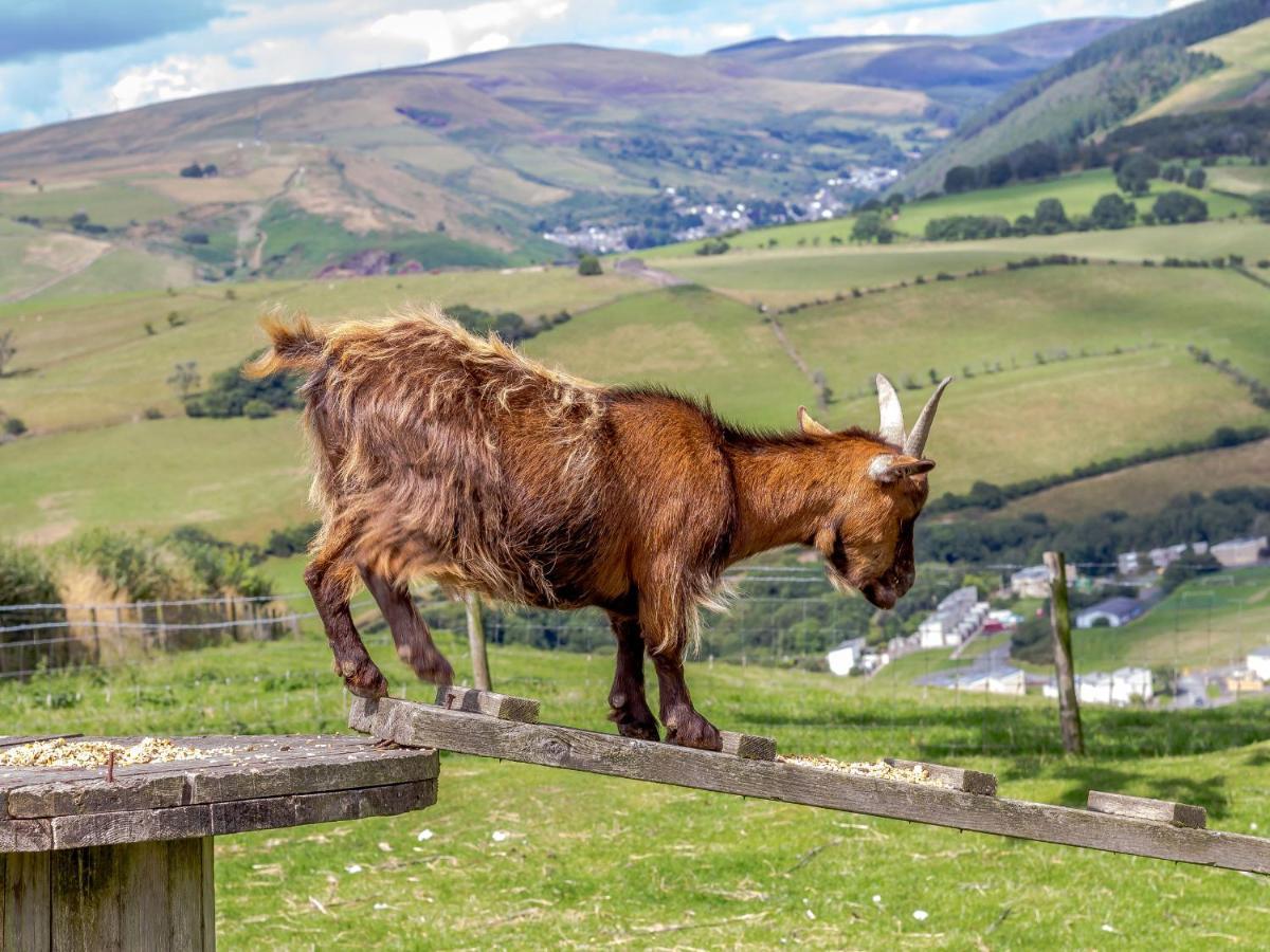 Caner Bach Lodge Bridgend  Esterno foto